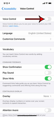 turn on voice control iPhone