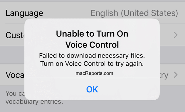 voice control not working