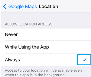 Enabled Location Services setting for Google Maps on iPhone