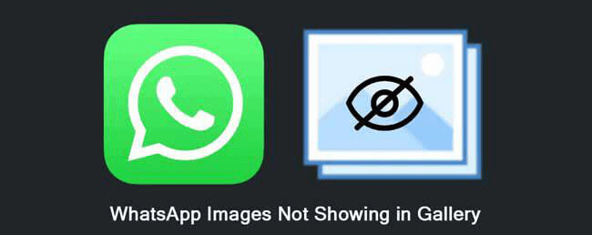 how to fix WhatsApp images not showing in gallery