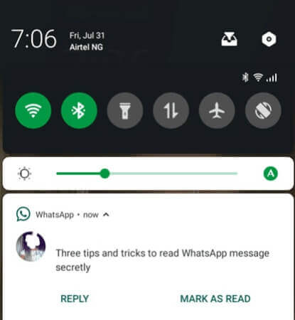 read WhatsApp message secretly
