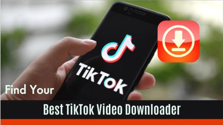 find tiktok video downloader