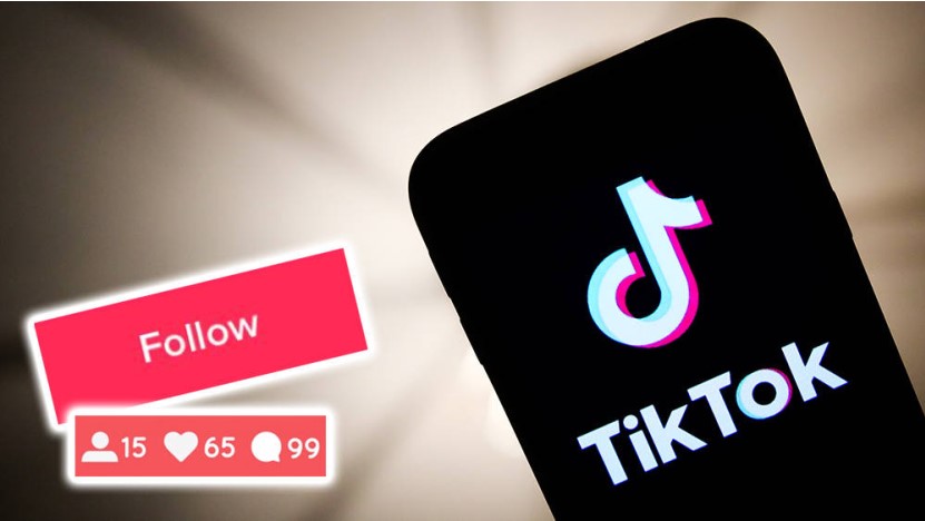 TikTok Verified Badge : How to get verified on TikTok ? - Verified