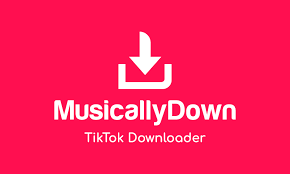 musicallydown video converter