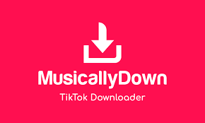 Top 9 TikTok MP3 Downloader and Converter You Must Know