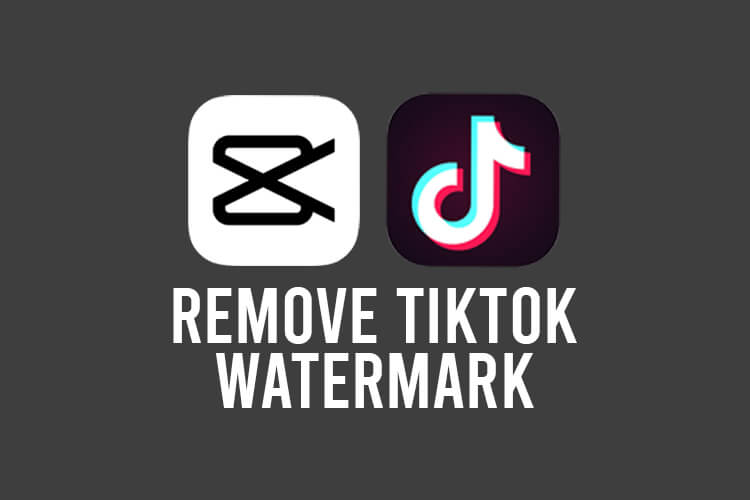 Effortlessly Remove TikTok Watermark for Free with 3 Simple Steps