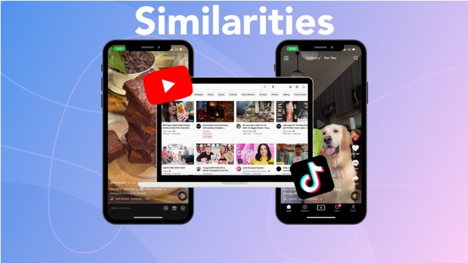 Blog I Milk Video >  Shorts vs TikTok: What's the Difference