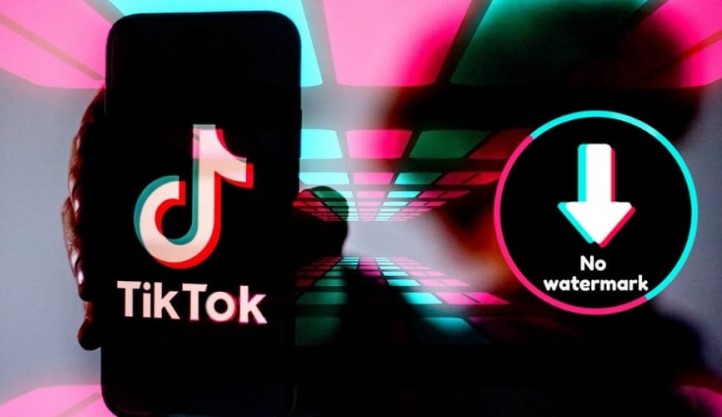 snaptik tiktok downloader