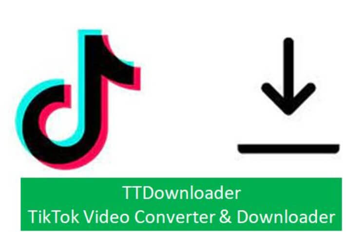 TikTok Downloader - TikTok Videos Without Watermark & Mp3