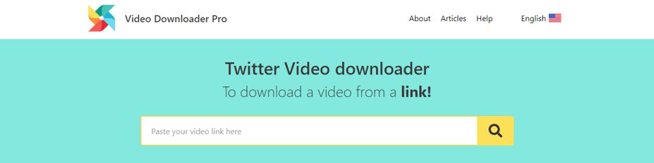 video downloader pro