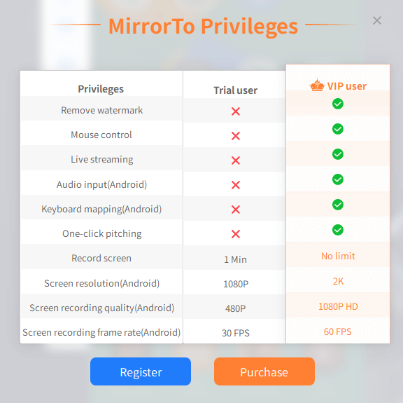 mirrorto windows privileges