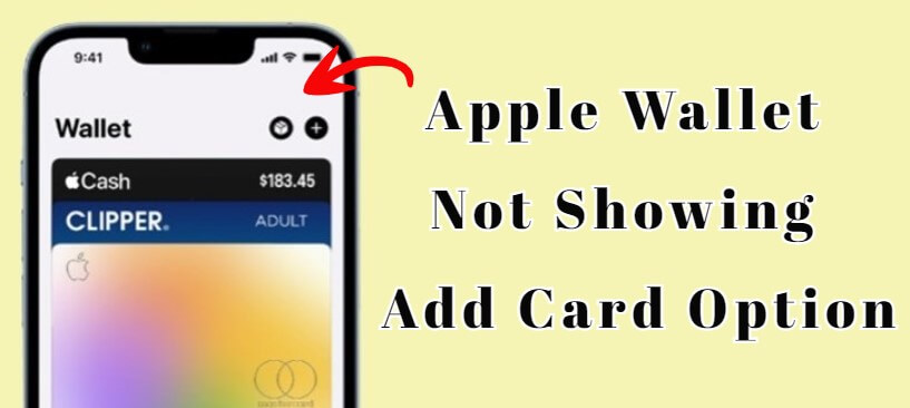 apple wallet not showing add card option