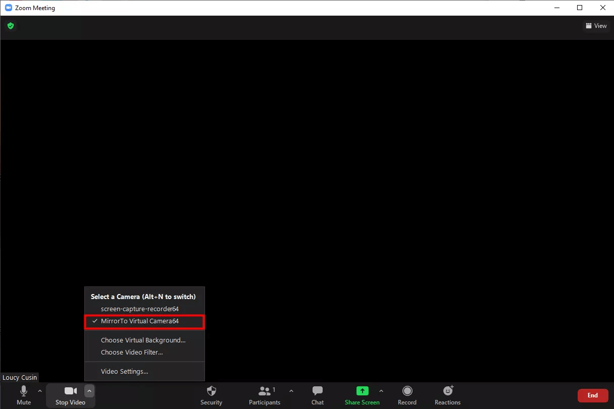 choose mirrorto virtual camera