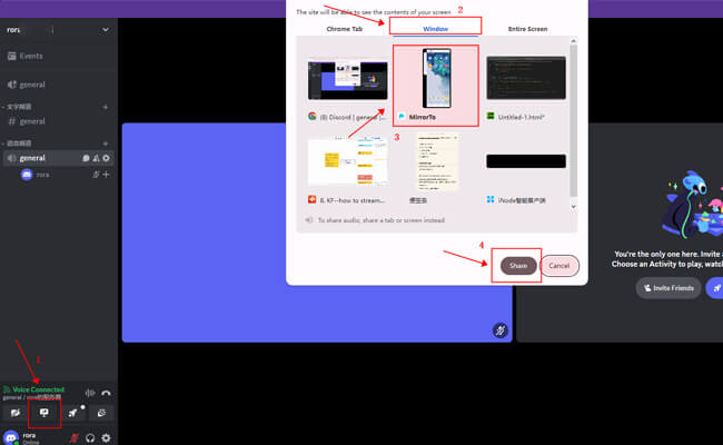 discord share screen choose mirrorto windows
