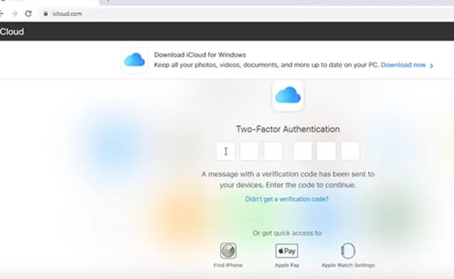 enter icloud verification code