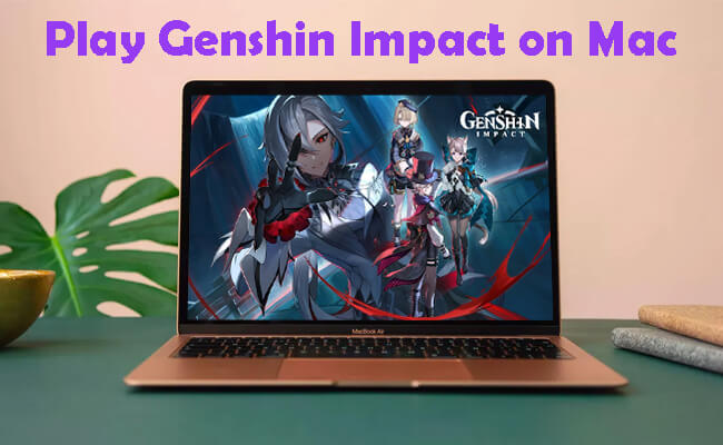 play genshin impact on mac