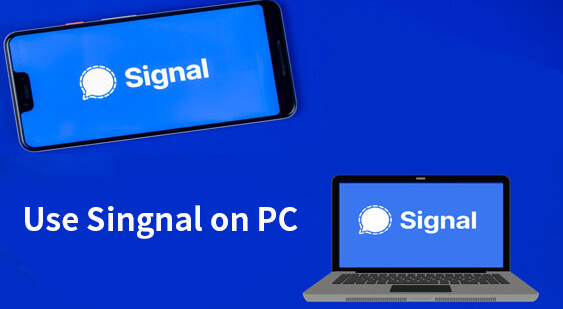 use signal on pc
