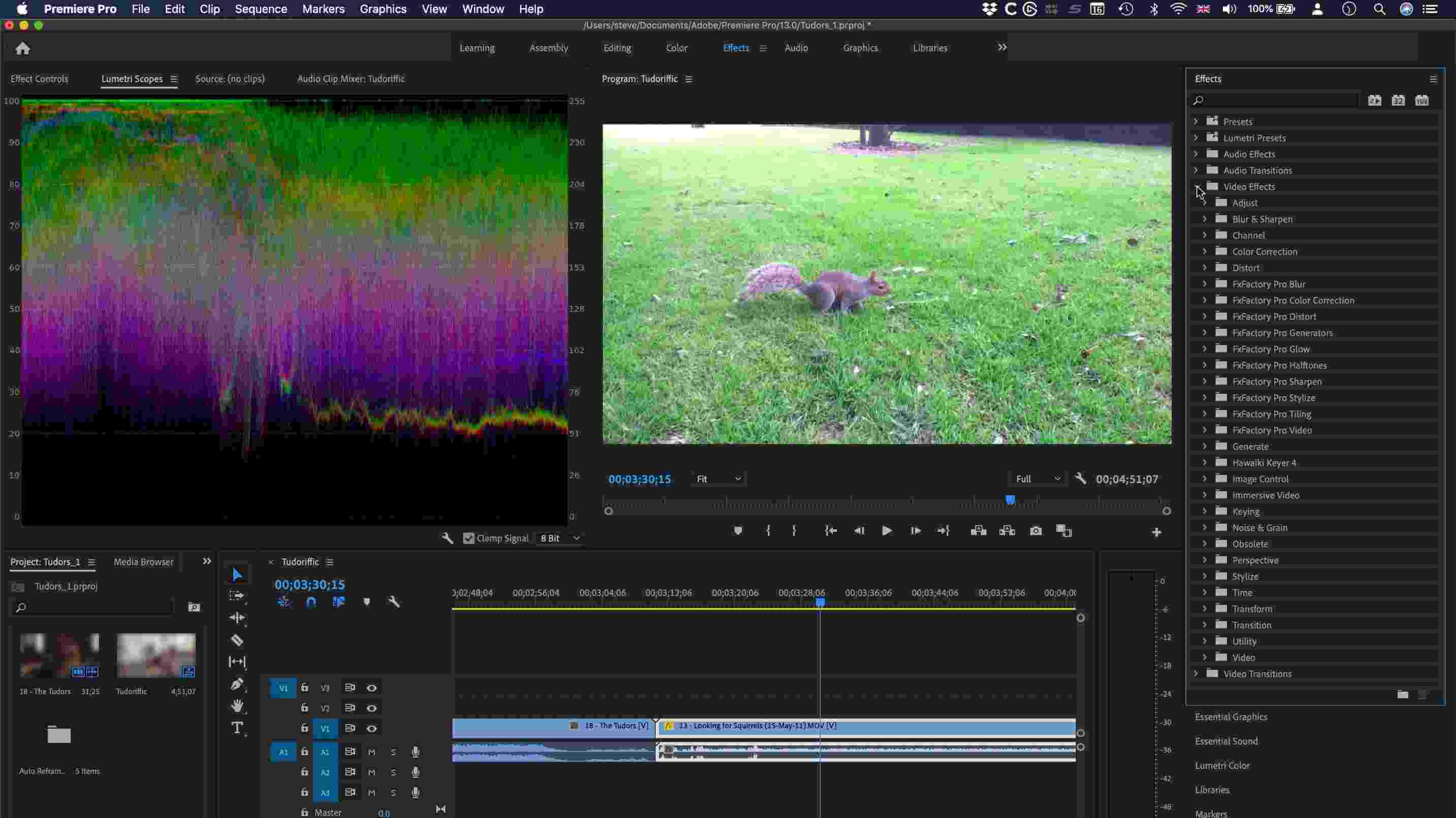 Adobe Premiere Pro