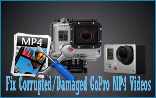 gopro video file extension