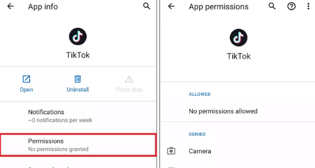 check for tiktok perssion android