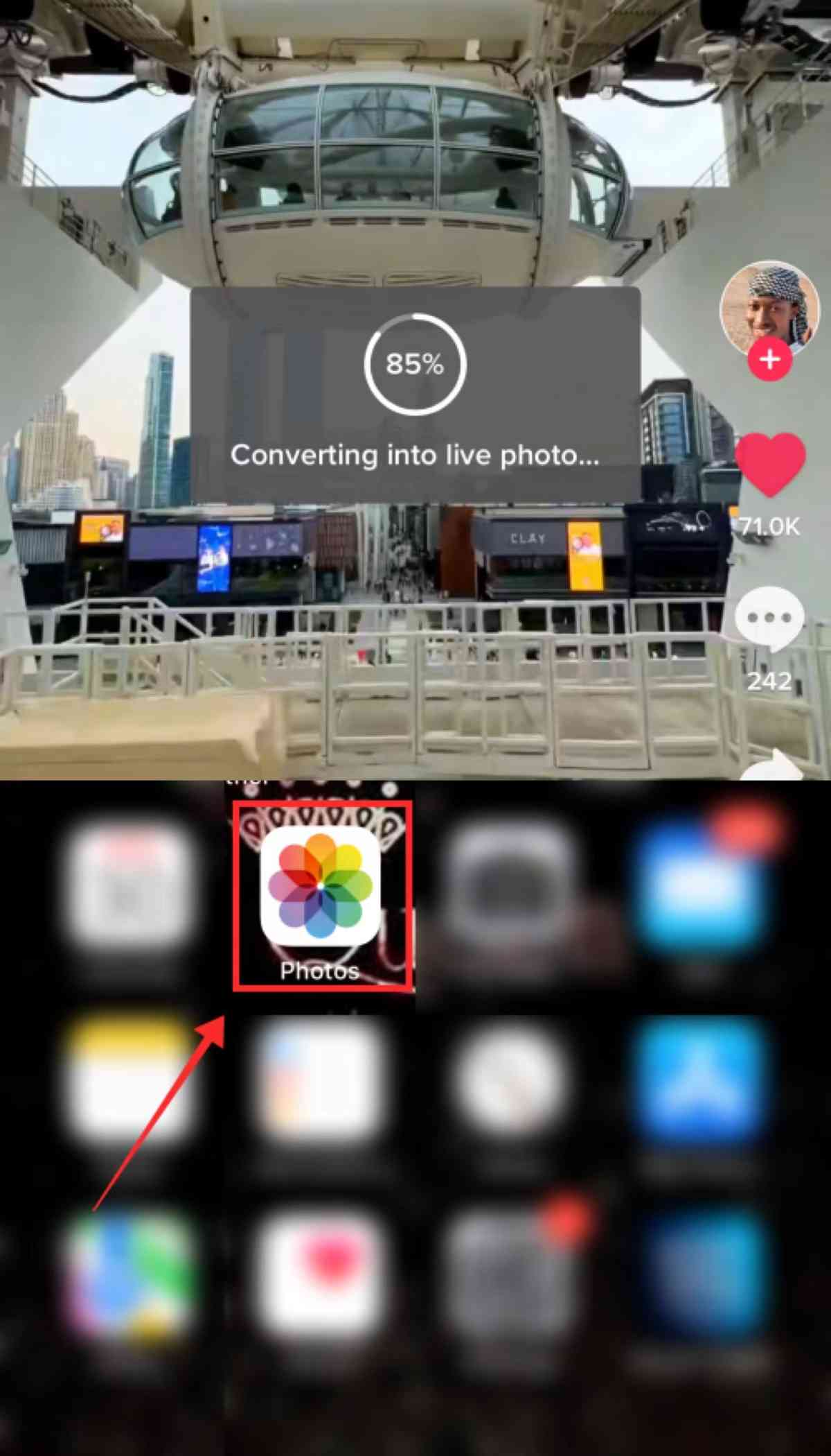 convert into live photo