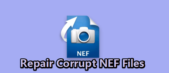 corrupted nef file repair
