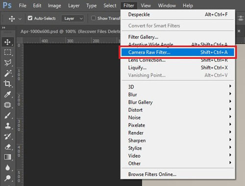 find camera raw filter