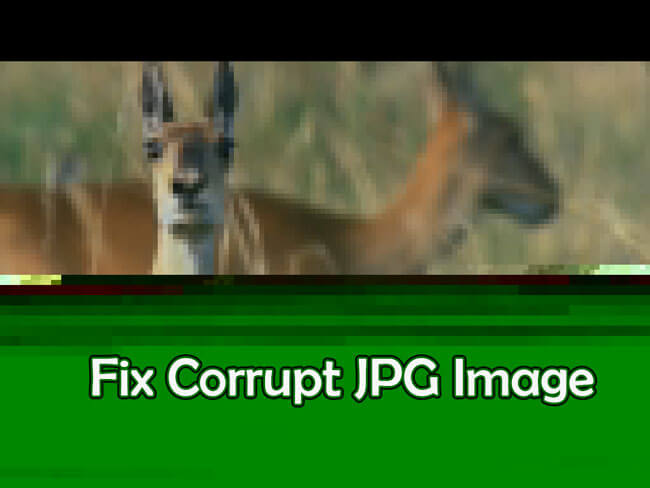 fix corrupt image
