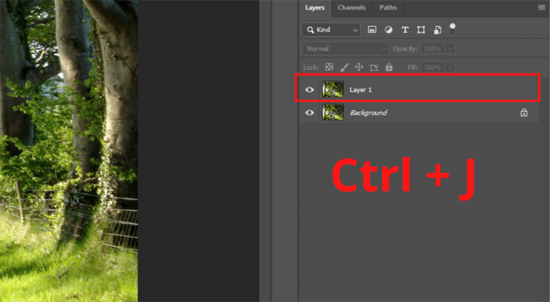 how to copy in ps