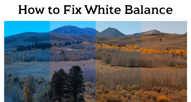 how to fix white balance