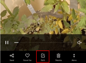 in built crop videos