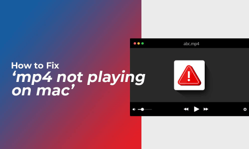 mp4 file is not playing on mac