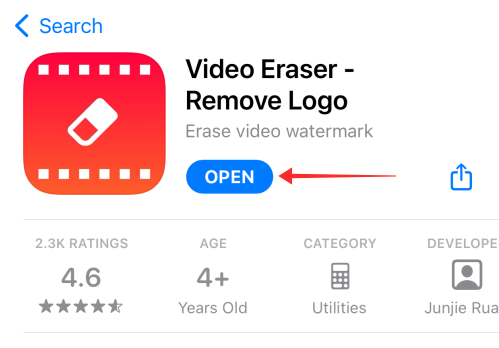 video eraser remove logo