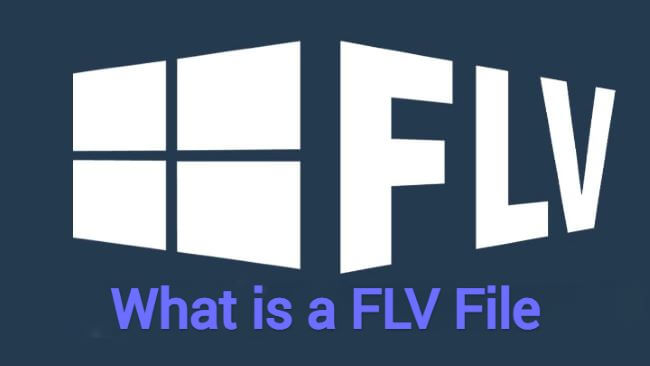 what is a flv file