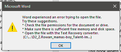 word experience error