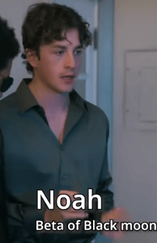 My Accidental Alpha's Desire cast Jack Rykert as Noah