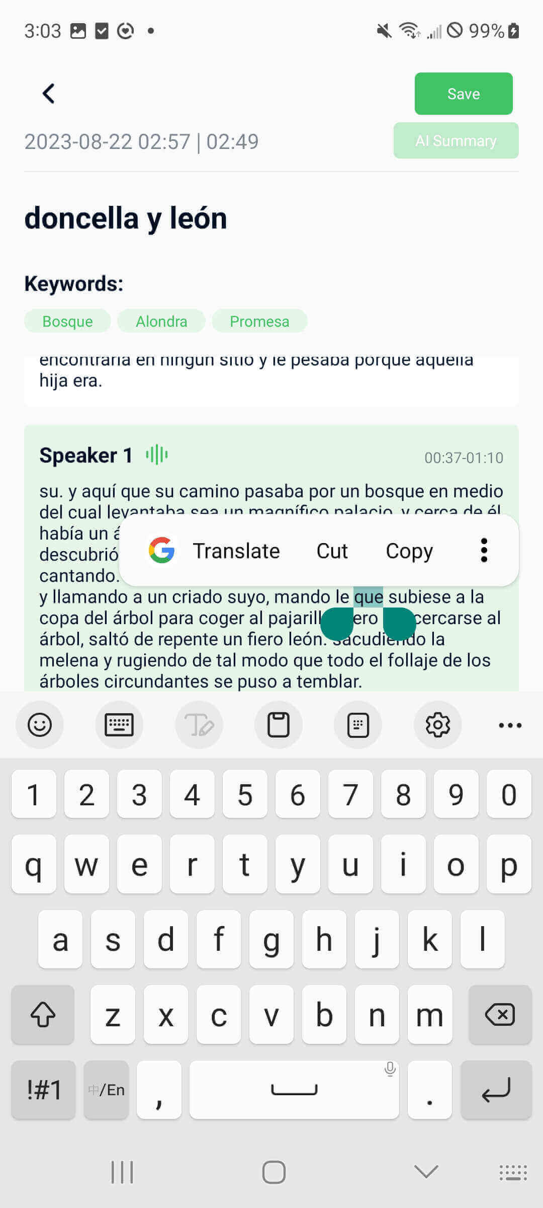 edit your spanish transcription