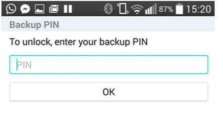 backup pin