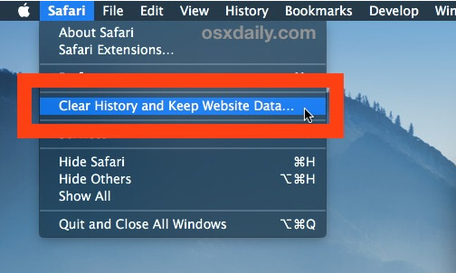 clear history and keep website data
