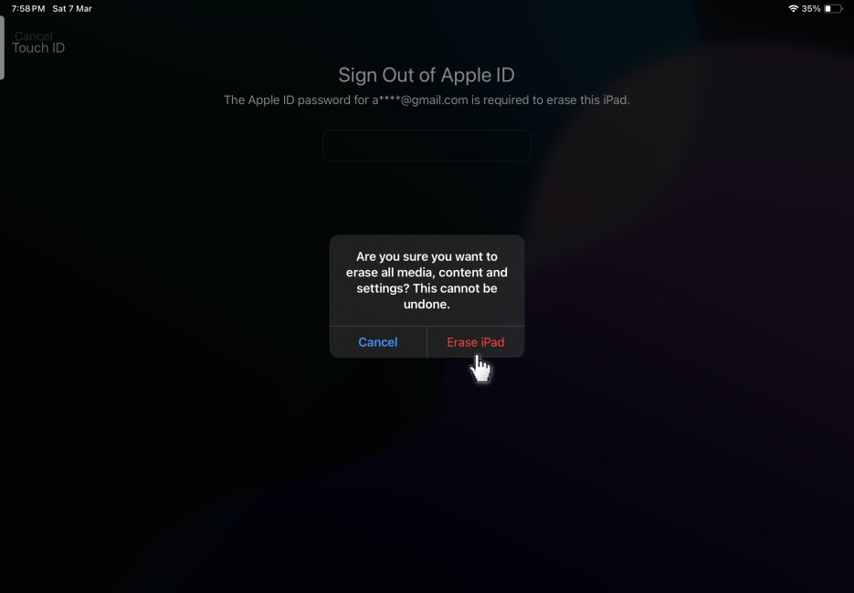 erase ipad