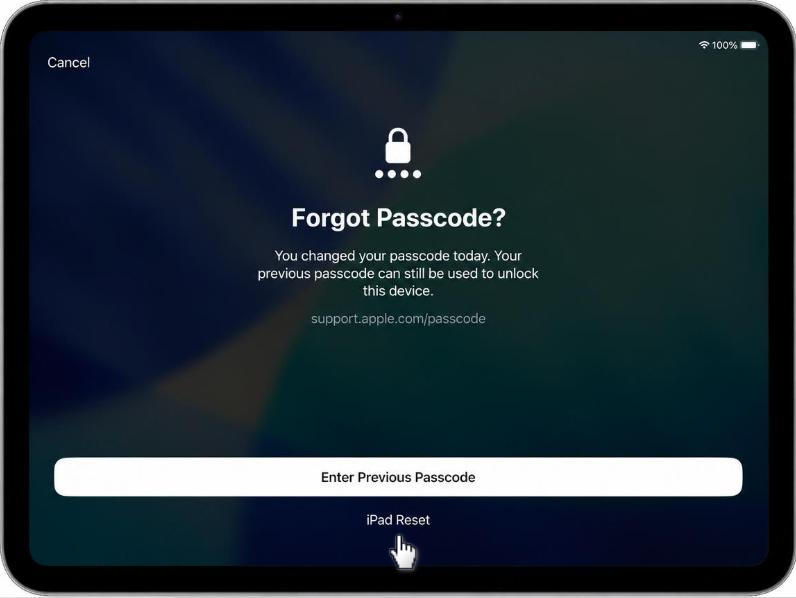 reset ipad