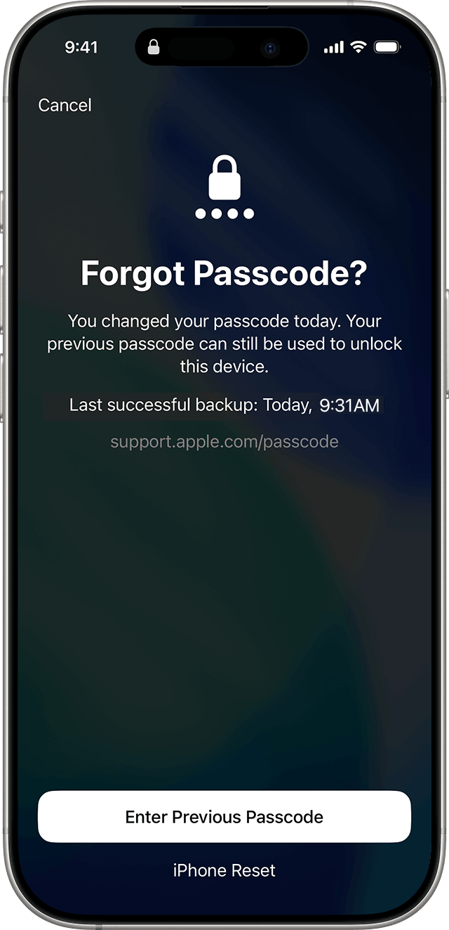 tap enter previous passcode