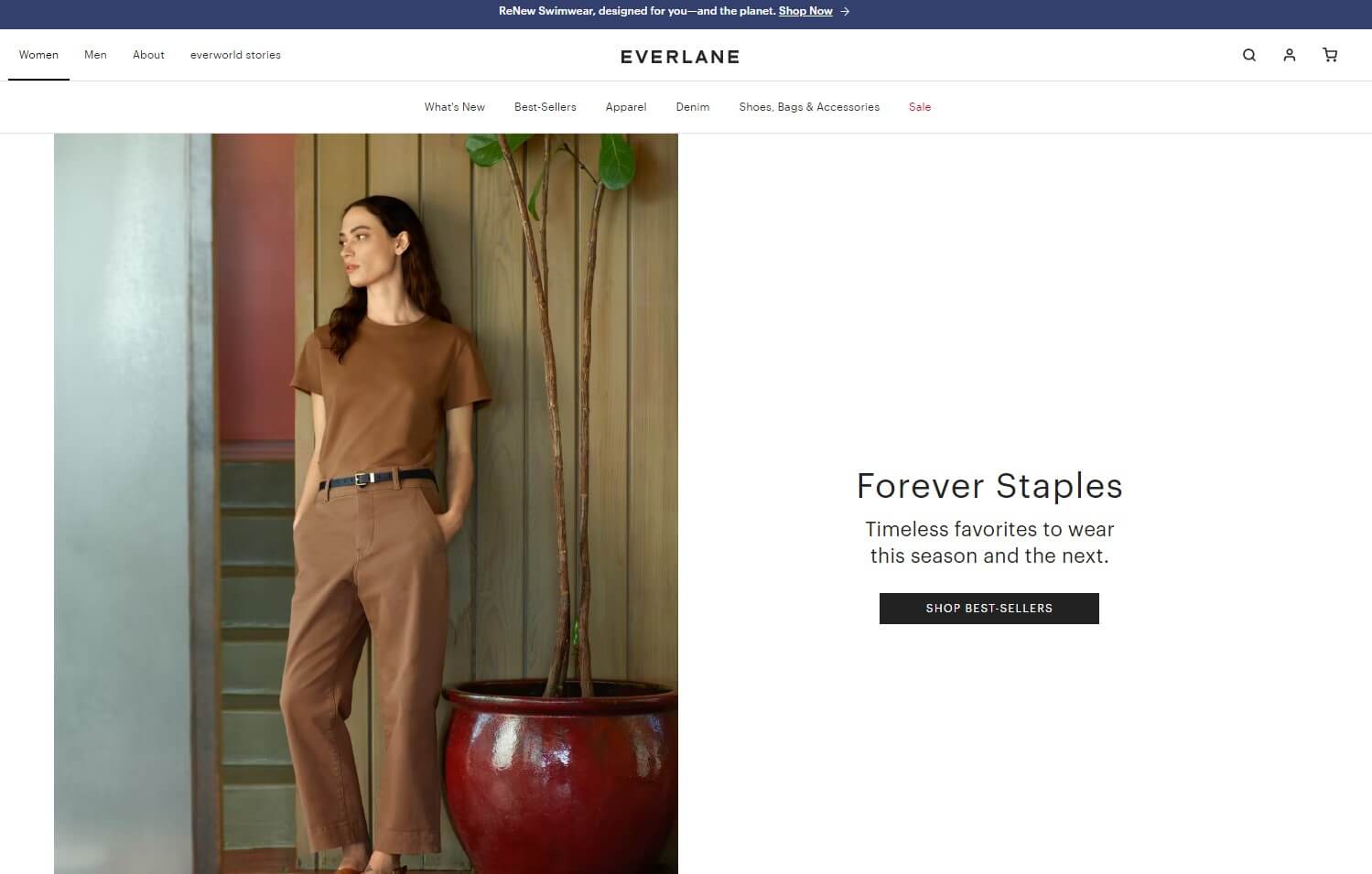 example of minimalist website- Everlane