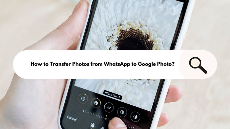 transfer photos from whatsapp to google photo or google drive
