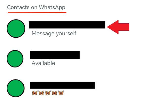 check whatsapp contacts