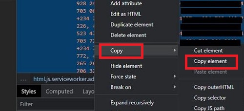 click copy and copy element