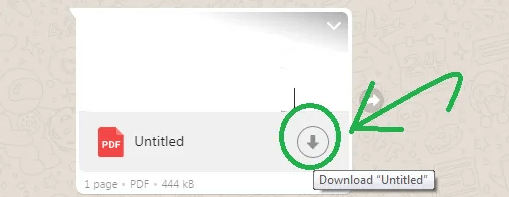 download document from whatsapp web