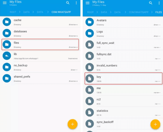 database on whatsapp file