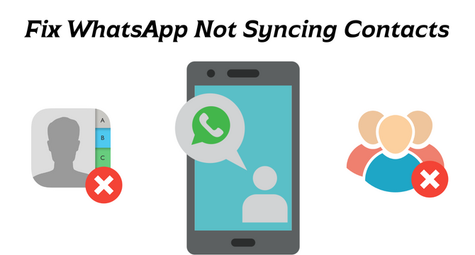 fix whatsapp not syncing contacts