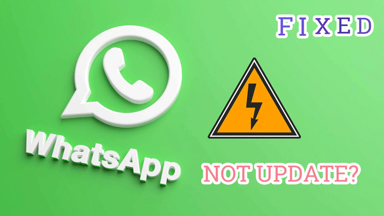 fix whatsapp not update